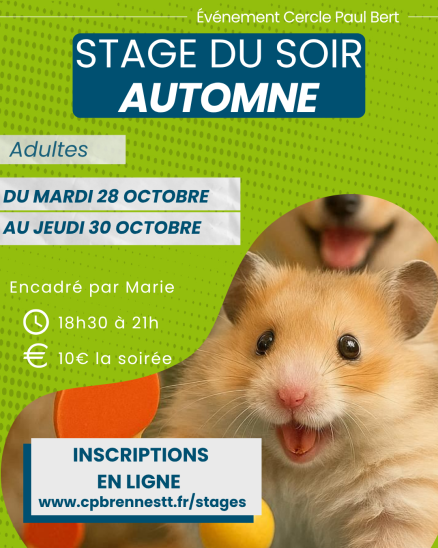 Stage du soir - Adultes Compétition - Du 28 au 30 octobre 2025